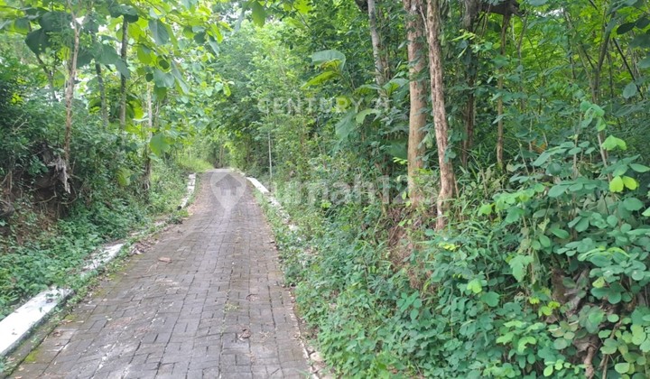 Tanah Sawah 1340M2 di Patuk Dekat Heha Sky View