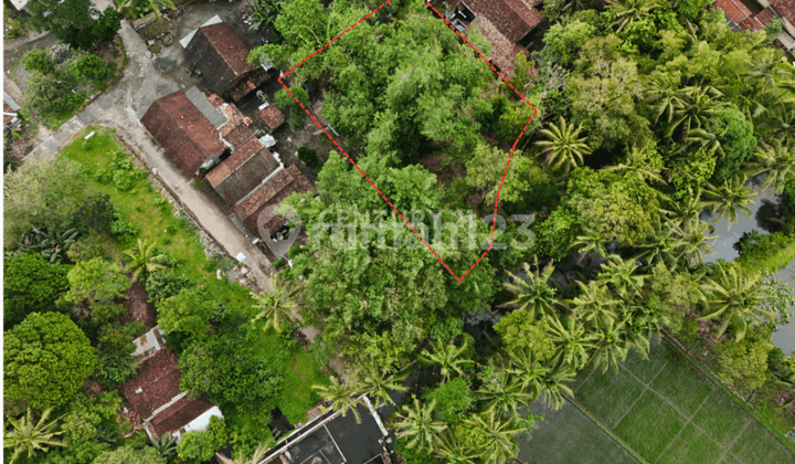 Tanah Pekarangan 799M2 Dekat dengan Obelix Village