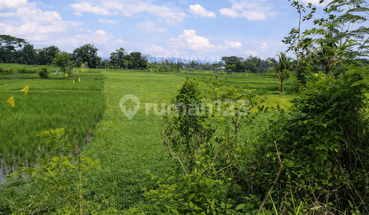 Tanah Ld 16M di Banguntapan Cocok untuk Bisnis Usaha Kuliner