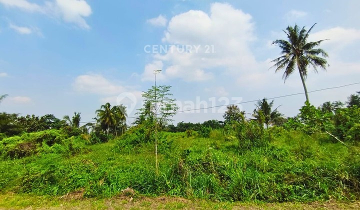Land in North Sleman with Mount Merapi View, Price Still Negotiable