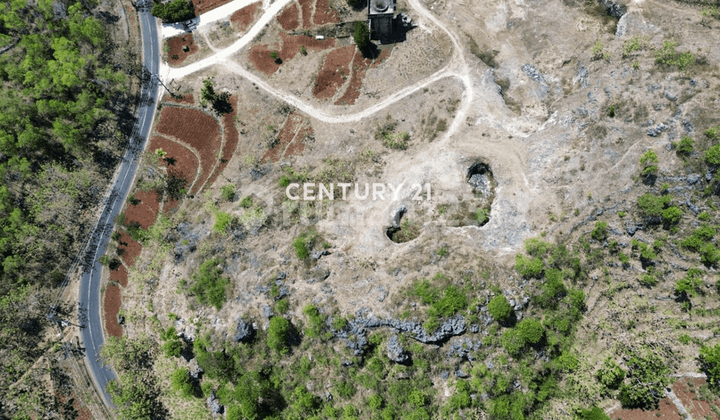 Tanah Potensial Jalan Baron Gunung Kidul di Tepi Jalan Provinsi Tanah Potensial Jalan Baron Gunung Kidul di Tepi Jalan Provinsi