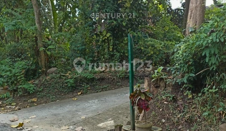 Tanah Pekarangan 455m2 Di Wates Hanya 300m Ke IKIP PGRI Wates