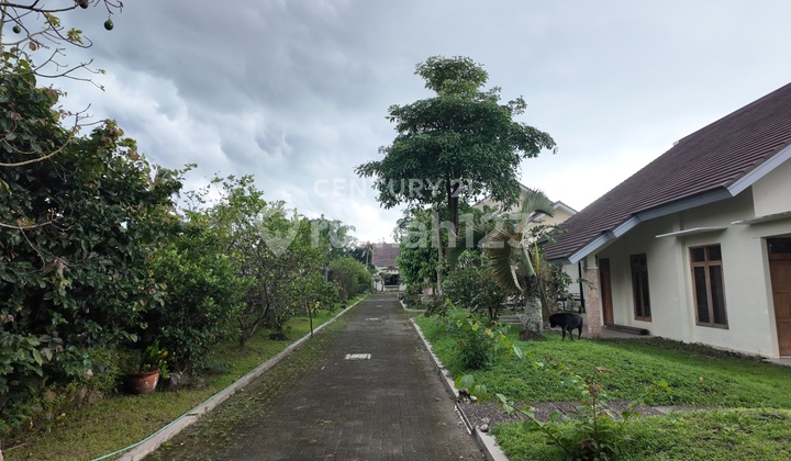 Cheap Land with Building Bonus in Pakem, Suitable for Guest House Business