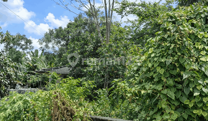Yard Land 542M2 in Ngemplak Near Pasar Jambon
