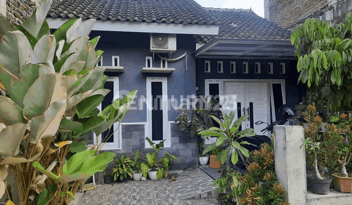 2 Bedroom House In Pandak Bantul Cheap Price Still Negotiable