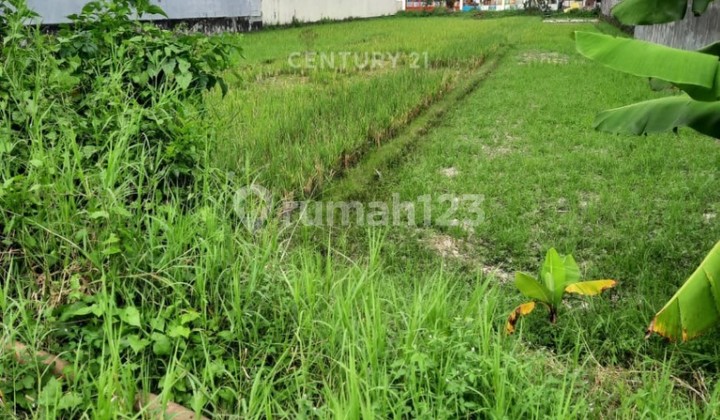 Tanah di Purwomartani Dekat Bandara Adisucipto Cocok untuk Kos