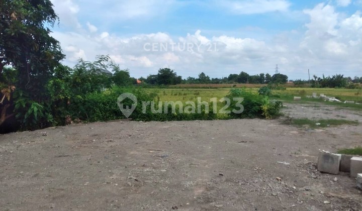 Land Area 2639M2 Near Bantul Market Suitable for Warehouse Land Area 2639M2 Near Bantul Market Suitable for Warehouse