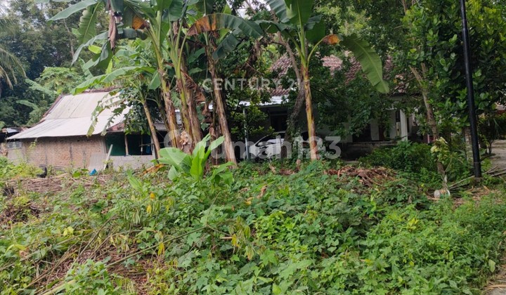 420M2 Yard Land Near Umy Suitable for Residence