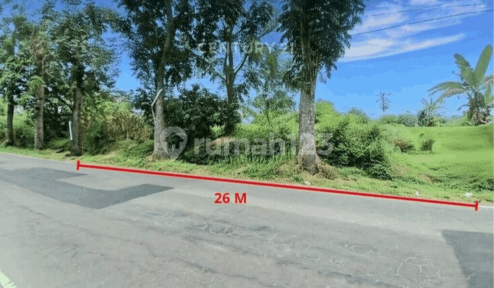 Land on the Side of the Road Near Sleman City Hall, Ideal for a Villa