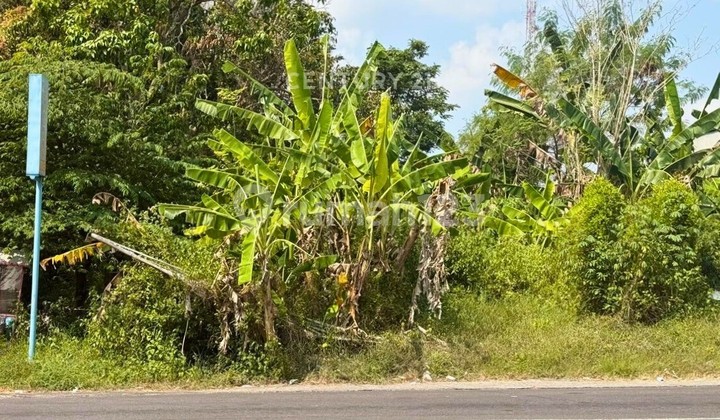Tanah 549m2 Di Naggulan Dekat Kopi Ampirono Cck Untuk Buka Usaha