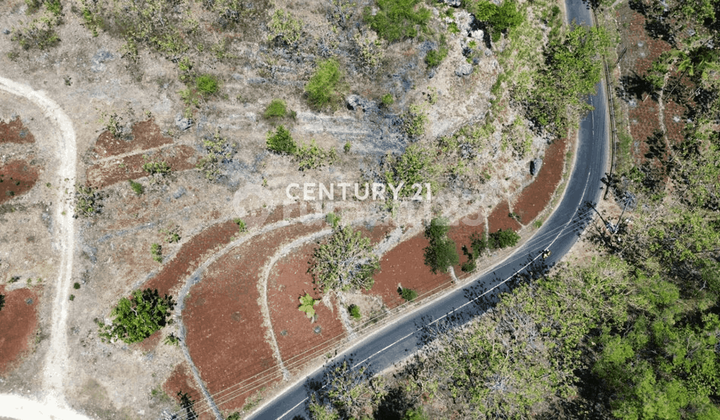 Tanah Potensial Jalan Baron Gunung Kidul di Tepi Jalan Provinsi Tanah Potensial Jalan Baron Gunung Kidul di Tepi Jalan Provinsi