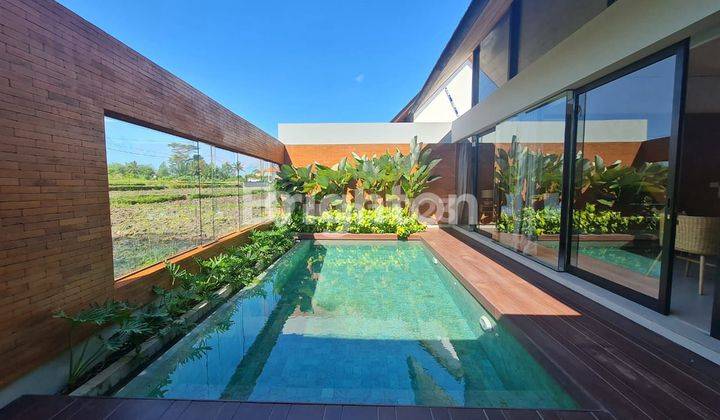 VILLA TEPI SAWAH GREAT DESIGN AND BEAUTIFUL RICE DIELD VIEW 2