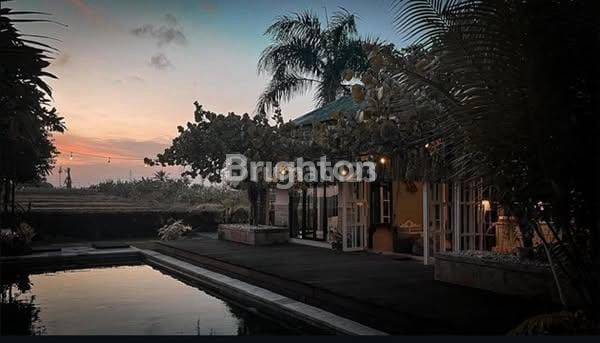 180° VIEW OF RICE FIELDS AND VERY BEAUTIFUL SUNSET 2