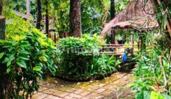 Strategic Land in Prerenan – 30-Year Lease for Hospitality & Lifestyle Business Strategic Land in Prerenan – 30-Year Lease for Hospitality & Lifestyle Business