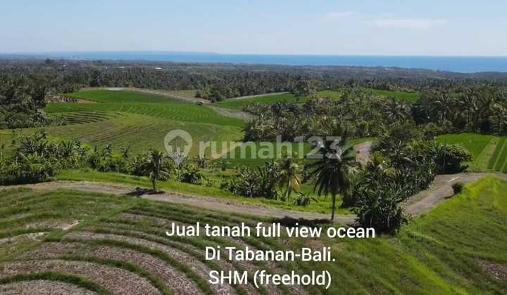  TANAH VIEW LAUT ABADI & SAWAH TERASERING DI TABANAN, BALI 2