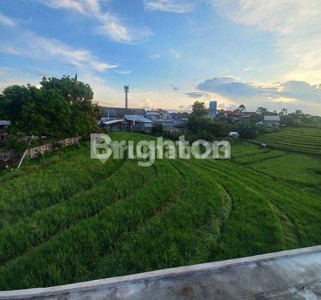 Villa for Rent with Rice Field View in Canggu 1