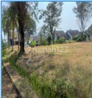 Tanah 14.784 m² Jl Nasional,pasauran Cinangka,serang 1