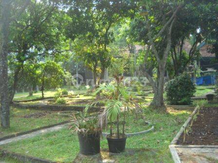 Rumah Kebun Cocok Untuk Rumah Tinggal Usaha Gudang Pool 7