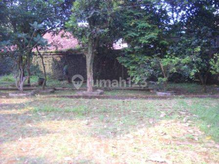 Rumah Kebun Cocok Untuk Rumah Tinggal Usaha Gudang Pool 16