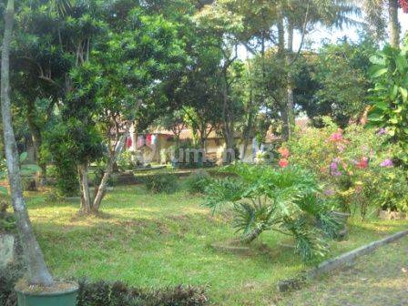 Rumah Kebun Cocok Untuk Rumah Tinggal Usaha Gudang Pool 15