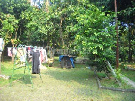 Rumah Kebun Cocok Untuk Rumah Tinggal Usaha Gudang Pool 21