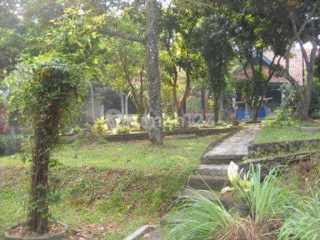 Tanah Kebun Ada Bangunan Cocok Untuk Rumah Tinggal, Usaha, Pool 2