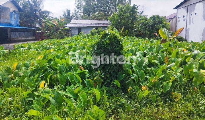 LAHAN KOSONG SIAP BANGUN COCOK UNTUK RUKO, KANTOR, RUMAH MEWAH DANAU SENTARUM PONTIANAK KOTA 2