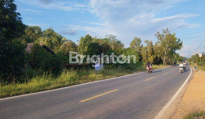 TANAH KOMERSIL PINGGIR JALAN TRANS KALIMANTAN KM 17 SEI AMBAWANG KUBU RAYA 2