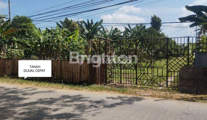 TANAH KOMERSIL PINGGIR JALAN RAYA SUDAH DIURUK TIMBUN BATI DAN PASIR SIAP BANGUN SEI RENGAS KUBU RAYA Tanah 8100 SHM m² 1