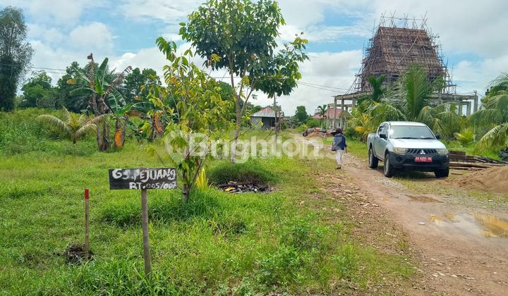 TANAH KAPLING BESAR SIAP BANGUN ALOVERA  SEBELAH GREEN HILLS PONTIANAK SELATAN