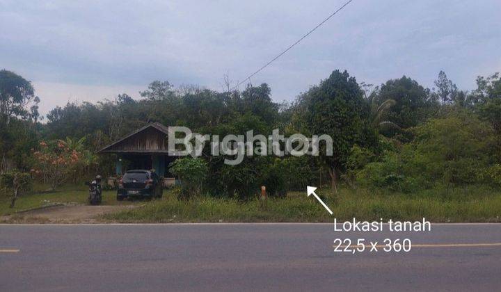 TANAH KOMERSIAL PINGGIR JALAN RAYA TRAN KALIMANTAN SUNGAI AMBAWANG m² SHM 8100 Tanah 1