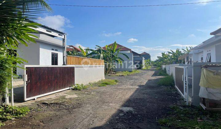 Rumah Dekat Canggu View Sawah 2