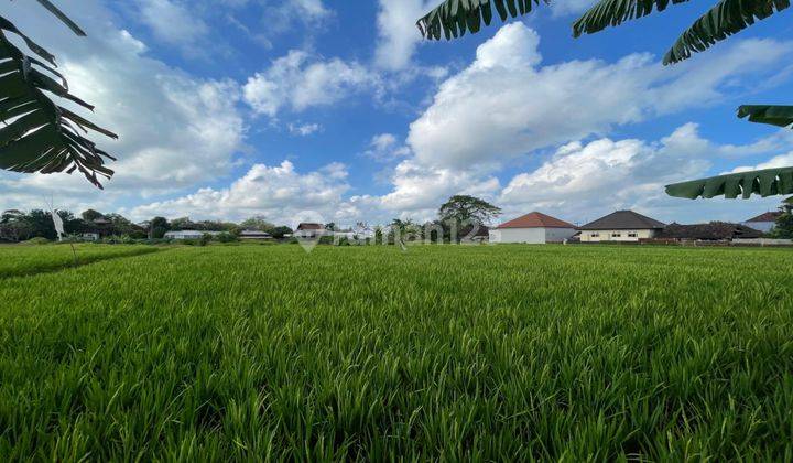 Rumah Dekat Canggu View Sawah 2