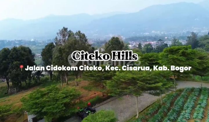 Tanah Kavling Murah Puncak Bogor Tanah 2000 SHM Tanah Kavling Murah Puncak Bogor Tanah 2000 SHM