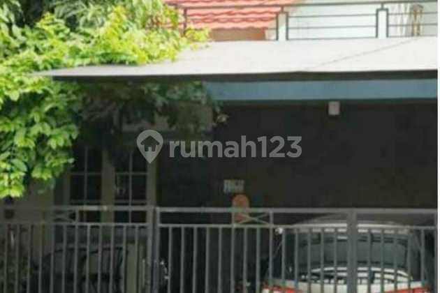 Dijual Cepat N Murah Rumah Taman Semanan Indah 8x21 Hadap Selatan 2