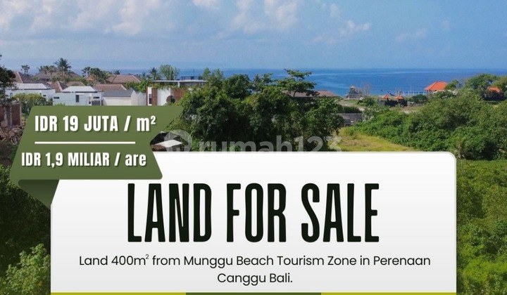 land for sale in pererenan canggu near with munggu beach land for sale in pererenan canggu near with munggu beach