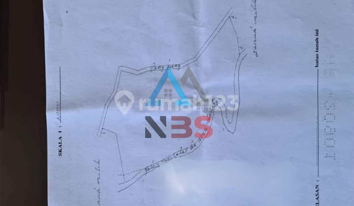 Di jual tanah kebun cengkeh dengan view laut Buleleng bali Pinggir jalan utama kabupaten Tembus ke asah gobleg Bedugul  1