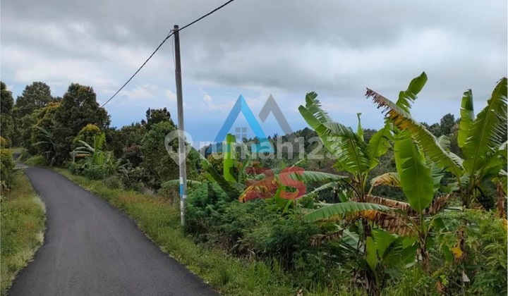 Di jual tanah kebun cengkeh dengan view laut Buleleng bali Pinggir jalan utama kabupaten Tembus ke asah gobleg Bedugul  2