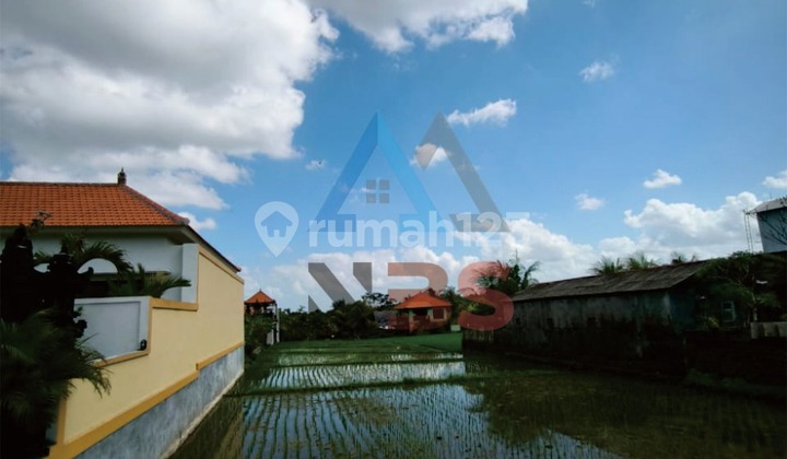 Dijual Tanah pantai Kedungu tabanan Bali Zona kuning 