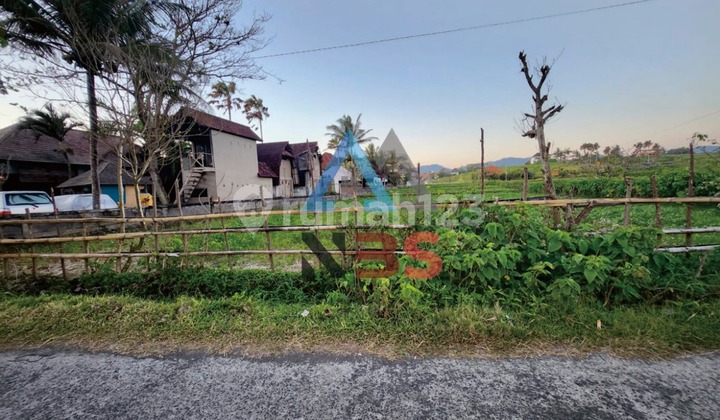 DIJUAL TANAH LOKASI DI PANTAI MEDEWI JEMBRANA COCOK UNTUK VILLA 