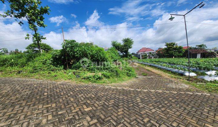 Tanah di Merjosari, Malang SHM 120 m² Cocok Untuk Kos Citylight 2