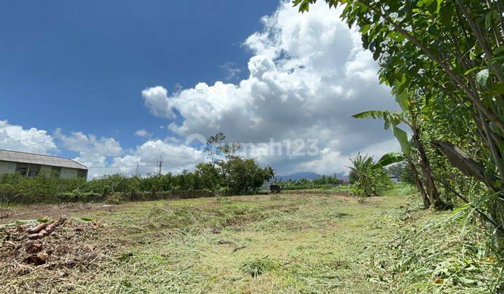 Tanah SHM Dekat Ub Malang Cocok Untuk Kost 2