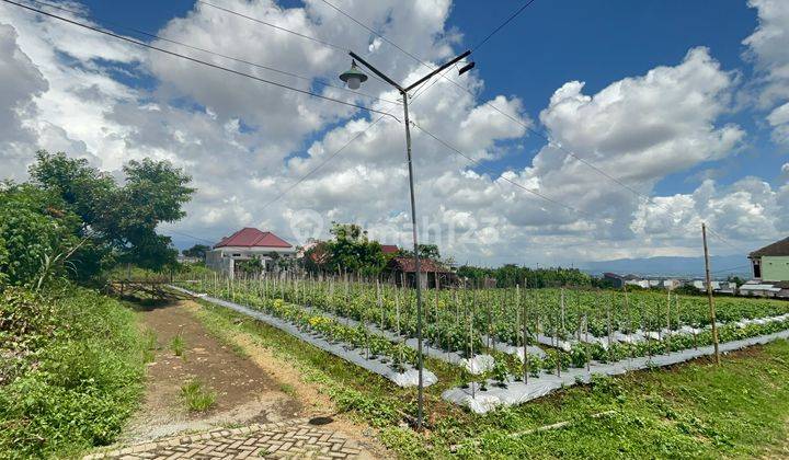 Tanah SHM Bebas Banjir Cocok Untuk Kost 5 Menit Umm 1