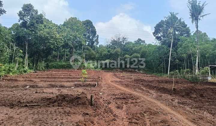Tanah Kavling Murah Jatirejo Kandri Cepoko Gunungpati Kota Semarang. 1