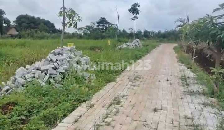 Tanah Green Wana Asri Mijensemarang 2