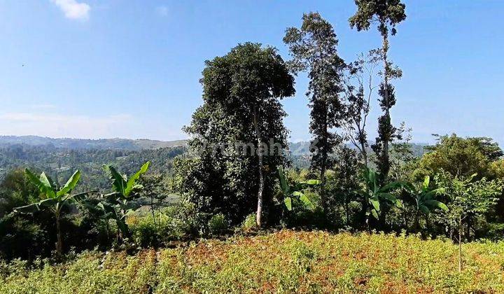 Murah Dijual Tanah di Jalan Cipare Babakan Blok Lembang Dano Bandung Barat 2