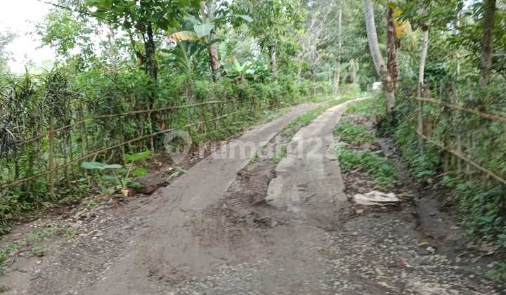 Exclusive Land Plot For Sale In Wongaya Gede – Tabanan