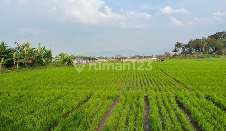 Jual Tanah Di Main Road Kota Soreang 1