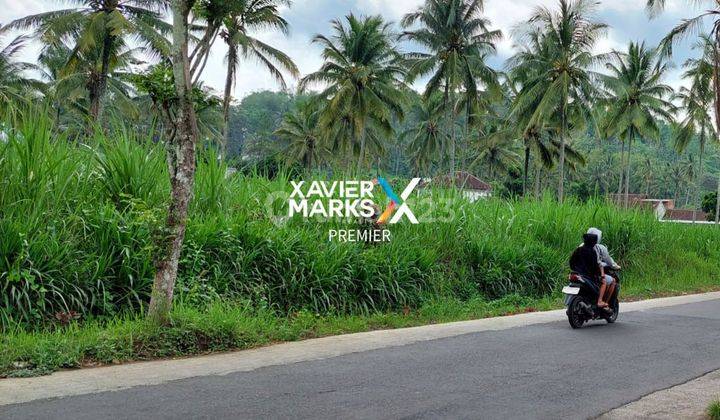 Dijual Tanah Luas Jalan Utama Strategis Dampit Kabupaten Malang 1