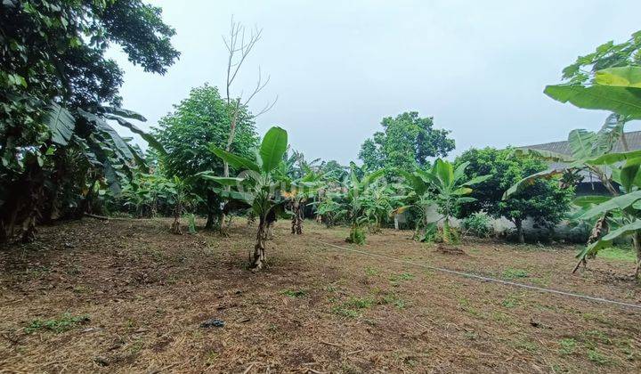 Tanah Murah Di Buaran Ciater Sepong Siap Bangun  2